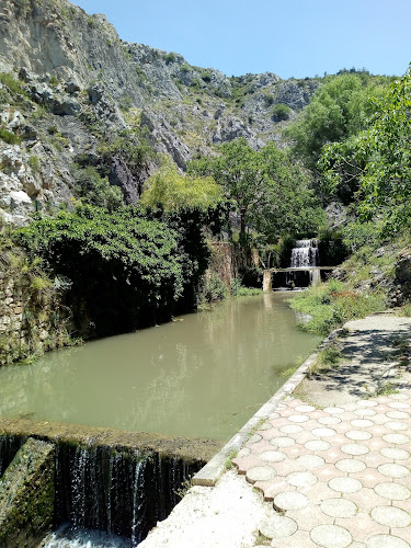 Opinii despre Yukarı Dere în Söğüt - Gastronomi ve konaklama