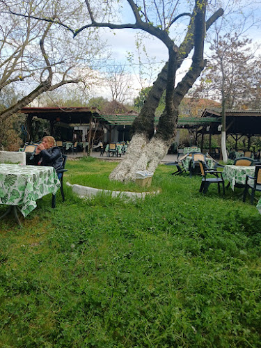 Melodi Aile Çay Bahçesi