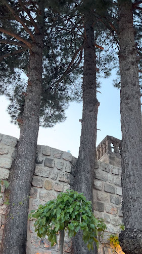 Opinii despre TAUS în Mardin - Gastronomi ve konaklama