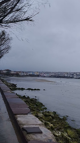 Motorcukafasıbüfe - Gastronomi ve konaklama