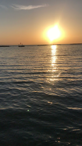 Comentarii opinii despre Arslan Balık