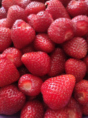 Elit Kornet Dondurma - Gastronomi ve konaklama