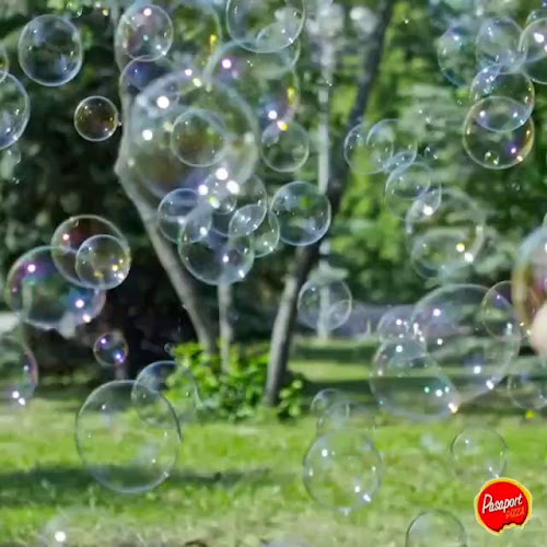 Pasaport Pizza - Sivas