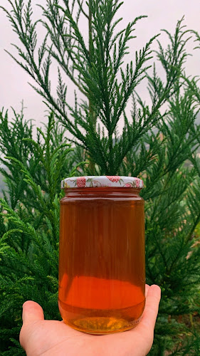 ÇİLEKÇİ KADİR حديقة الفراولة - Gastronomi ve konaklama