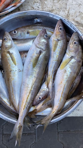 Giresun sanayicileri ve iş insanlari derneği lokali - Giresun Merkez