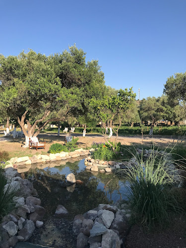 Alaçatı Zeytin Tarla - Çeşme