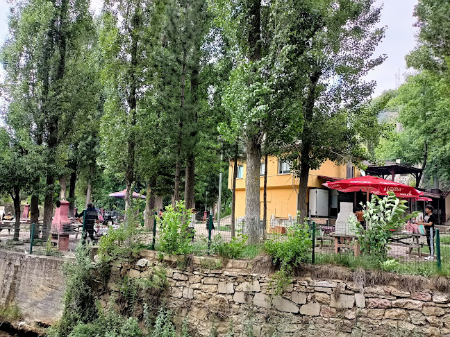 Yukarı Dere - Söğüt