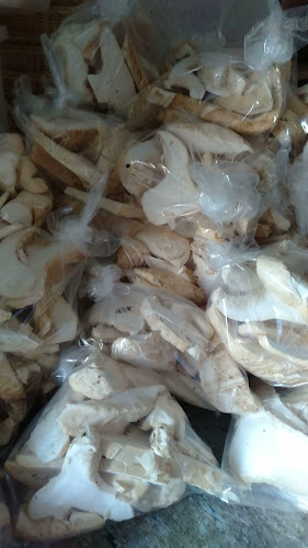 Moğultay, Atıl Uzelgün Cd. No:89, 62000 Tunceli Merkez/Tunceli