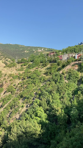 Opinii despre Gözlemecim seyirterası în İskenderun - Gastronomi ve konaklama