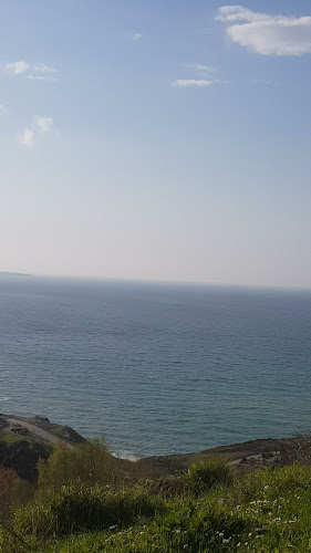 Sinop Şahin Tepesi Kafe - Gastronomi ve konaklama