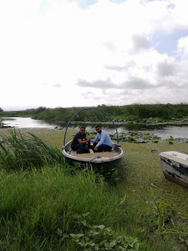 Opinii despre Necati Balık Restoran în Çatalca - Gastronomi ve konaklama