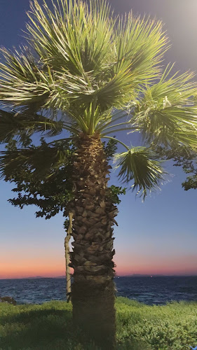 Altıevler Mahallesi, Sahilevleri, Gürler Cd. No:98, 35320 Narlıdere/İzmir