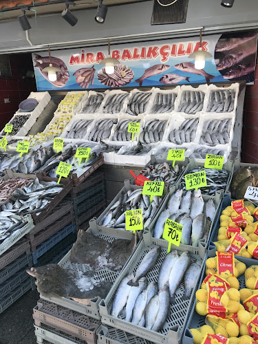 Mira Balıkçılık Restoran/Balık Pazarı.