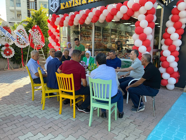 Yıldırım Kayısı ve kuruyemiş