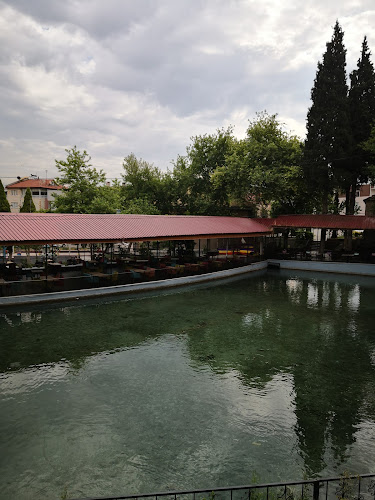 Opinii despre Kocaayan Kıraathanesi în Soma - Gastronomi ve konaklama