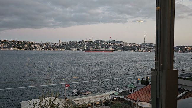 Mavi Balık - Beşiktaş