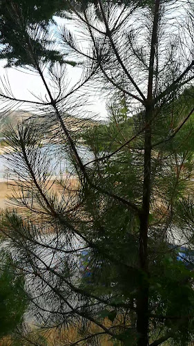 Pera Cafe Restaurant - Tunceli Merkez