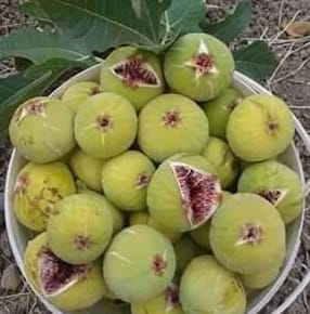 Opinii despre Cafe 2012 în Reyhanlı - Gastronomi ve konaklama