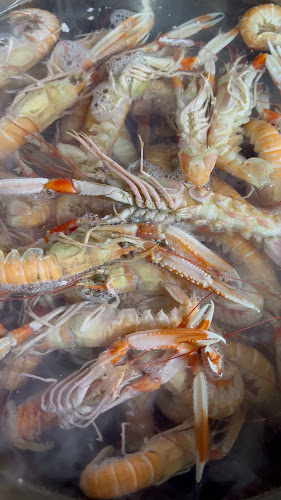 Kireçburnu Balıkçısı - İstanbul