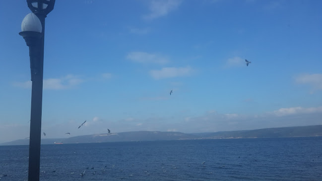 Opinii despre Club 286 Restoran Cafe Bar în Çanakkale Merkez - Gastronomi ve konaklama