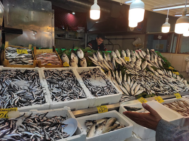 Altınşehir, Tavukçuyolu Cd No: 179/A, 34775 Ümraniye/İstanbul