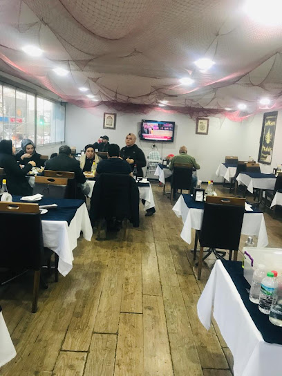 Balıkçınız Alkan Sarıgazi