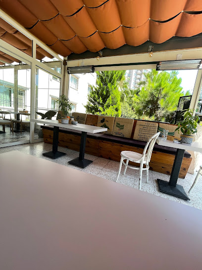 Little italy pizzeria Türkmenbaşı