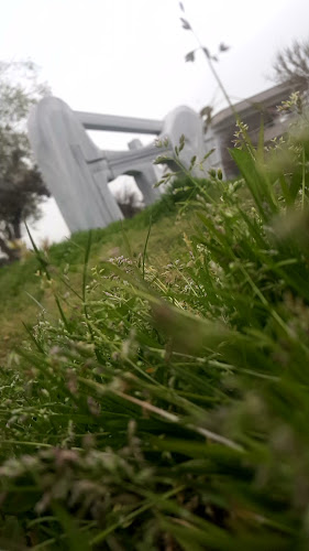 Comentarii opinii despre ACE Sushi Büyükçekmece