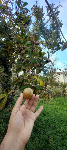 Gecen, 74110 Bartın Merkez/Bartın