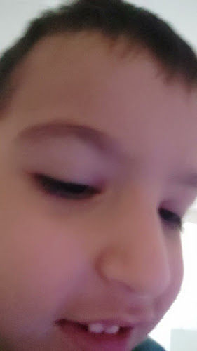 Kristal Fırında Et Lokantası - Gastronomi ve konaklama