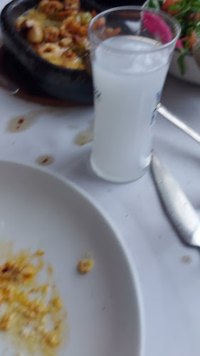 Opinii despre Camlı Köşk Restaurant în Büyükçekmece - Gastronomi ve konaklama