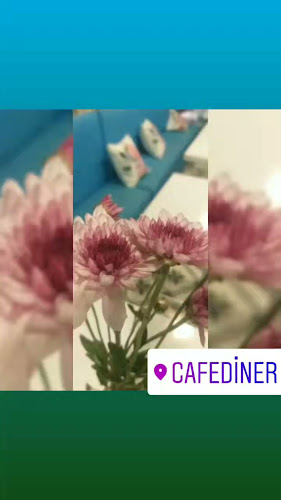 cafediner - Gastronomi ve konaklama