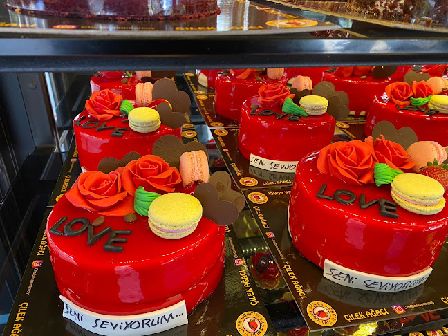 Yurt mah. İsmail Hakkı develi sok. cem atasever sitesi b blok no:23/A, 01310 Çukurova/Adana