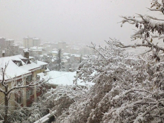 Çarşı, Şekersuyu Sokak, Yakacık No:16, 34876 Kartal/İstanbul, Türkiye