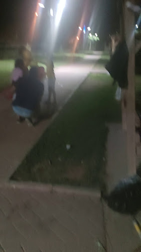 Alipaşa, Sıhke Cd. no:2, 65100 Van Merkez/Van