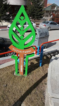 Comentarii opinii despre Napoli Pizza Pide Kebap Salonu