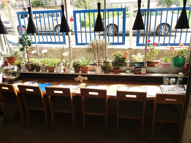 Tete'nin Mutfağı Ev Yemekleri - Ni̇lüfer