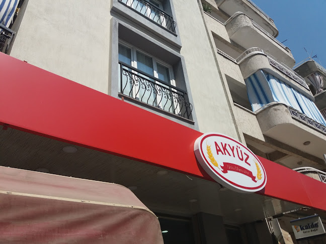 Akyüz Unlu Mamüler