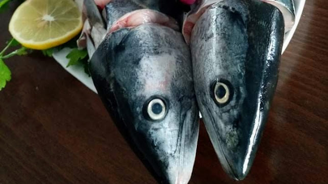 Tekirdağ balıkçı Turgutreisbalık/Alkolsüz