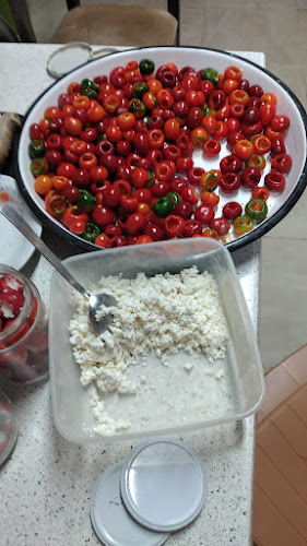 1951 Gündoğdu Kahvaltı ve Çay Bahçesi - Söke