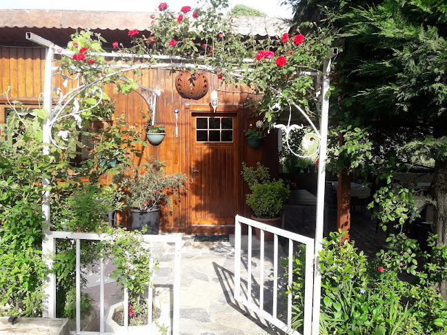 Mola Restoran - Gastronomi ve konaklama