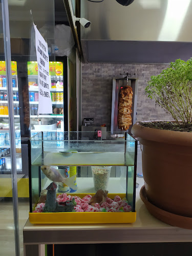 Opinii despre Soydan Et Döner în Ayancık - Gastronomi ve konaklama