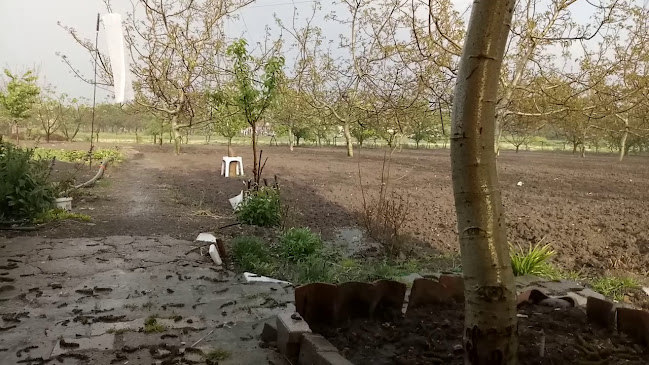 Opinii despre hasanbey în Gönen - Gastronomi ve konaklama