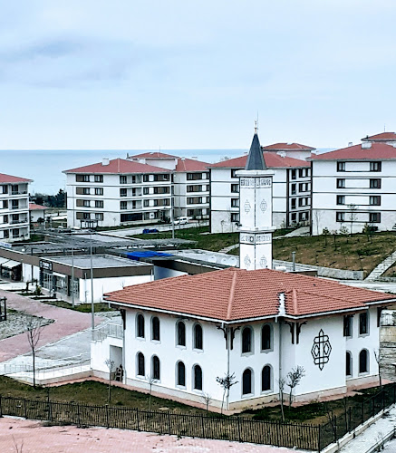 Comentarii opinii despre Caferiye