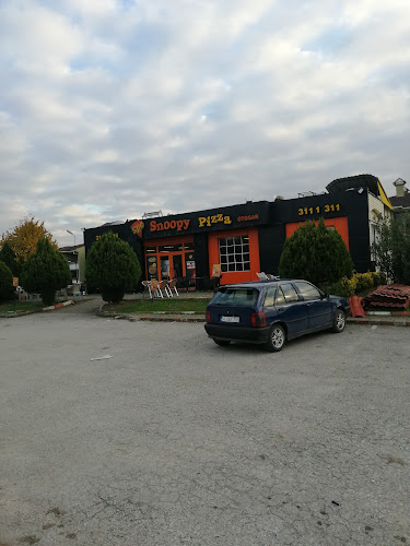Opinii despre Snoopy Pizza Otogar Şubesi în İzmit - Gastronomi ve konaklama