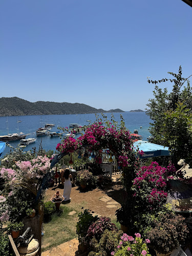 Comentarii opinii despre The I Am Here Cafe