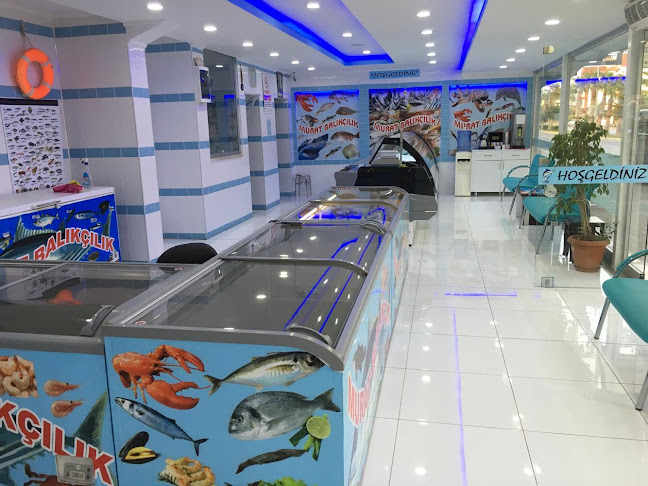 Murat Balıkçılık Side