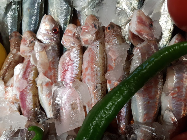 Gölyaka, 16825 Orhangazi̇/Bursa