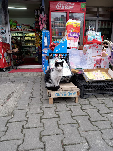 Comentarii opinii despre Özdemir şarküteri