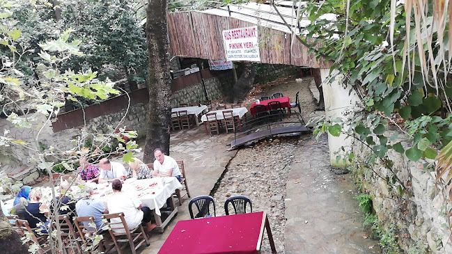 Kuş kahvaltı bahçesi restaurant piknik yeri